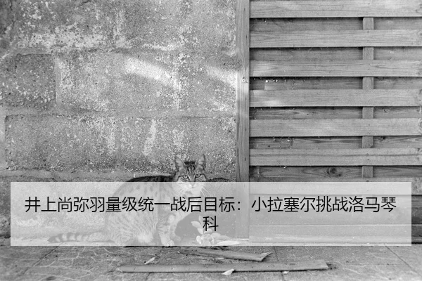 jing-shang-shang-mi-yu-liang-ji-tong-yi-zhan-hou-mu-biao-xiao-la-sai-er-tiao-zhan-luo-ma-qin-ke-2-150.jpg